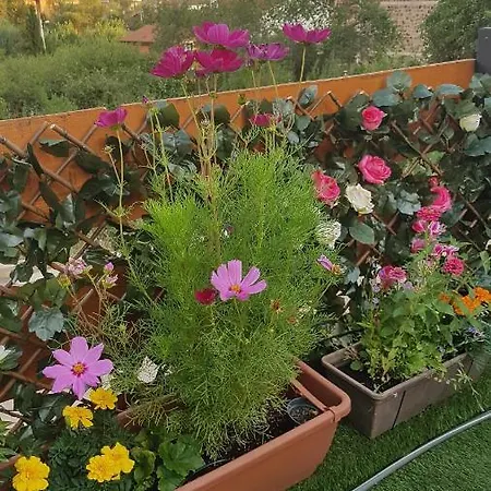 Ikizen בית נופש